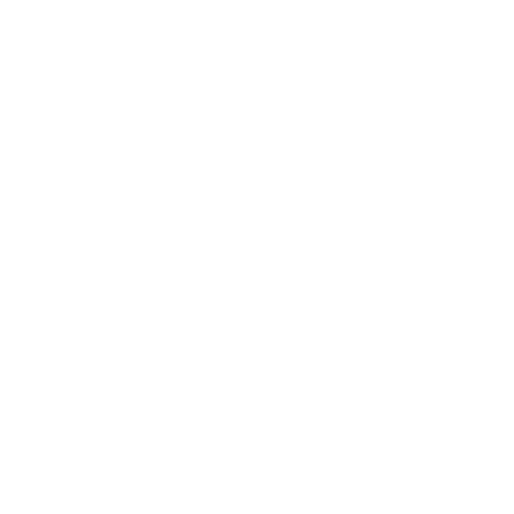 Loon Mountain Ministry