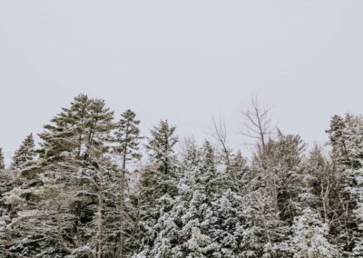 SFC Maine