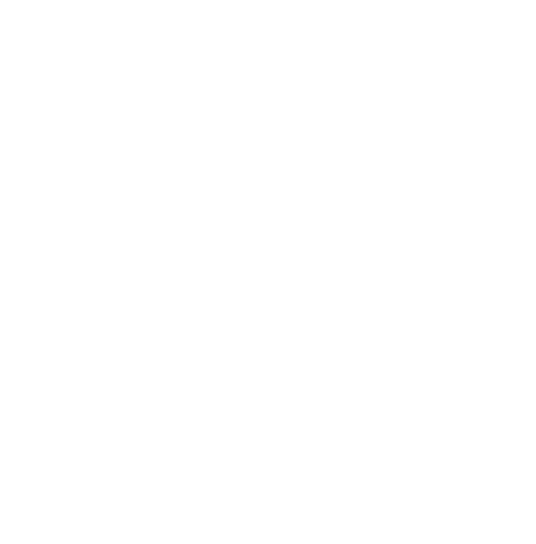 SFC Snowshoe
